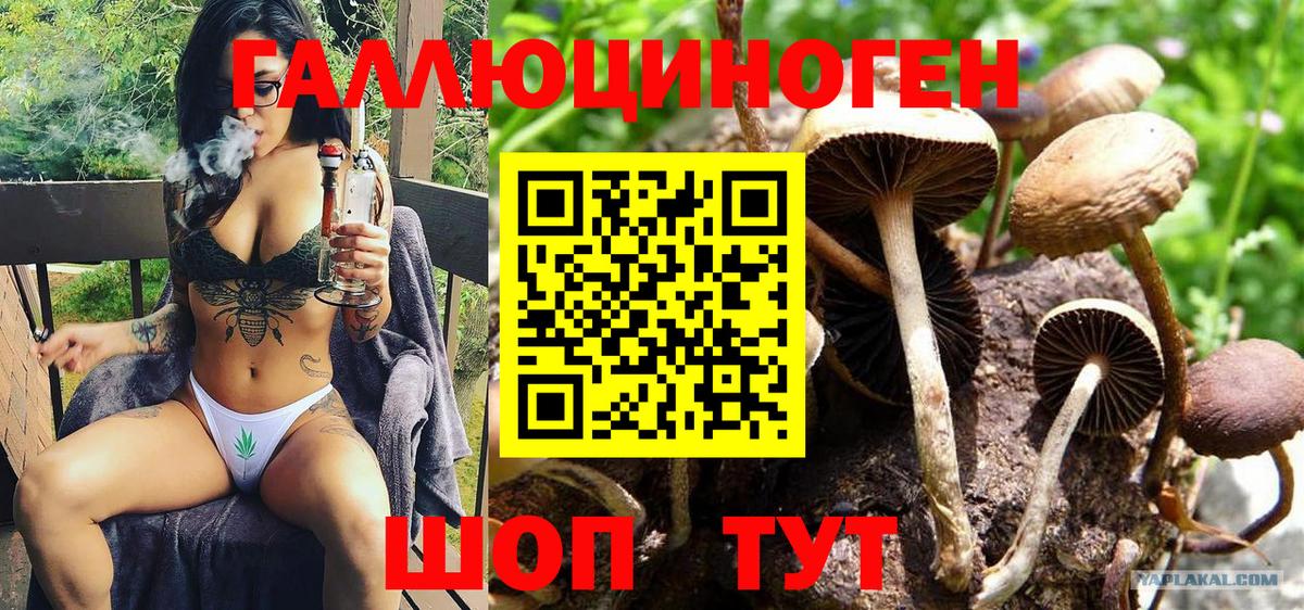 Азнакаево  НБОМе  Купить  Меф МЯУ МЯУ   Канабис  А ПВП СК кристаллы  Вход с VPN  COCAIN  ГАШ  Гашиш  МДМА 